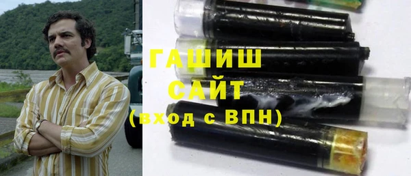 индика Абаза