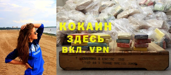 индика Абаза