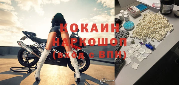 индика Абаза