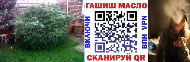 Дистиллят ТГК гашишное масло  Новокузнецк 