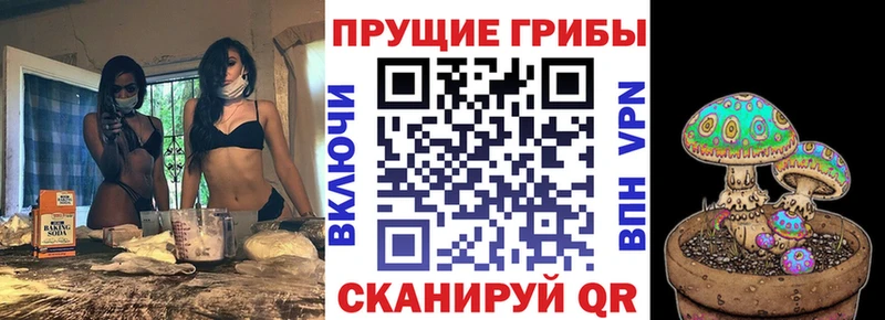 Псилоцибиновые грибы MAGIC MUSHROOMS  Новокузнецк 