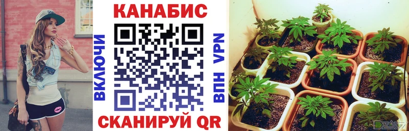 Бошки марихуана LSD WEED  МЕГА как войти  Новокузнецк  закладка 