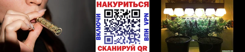 Бошки Шишки VHQ Новокузнецк